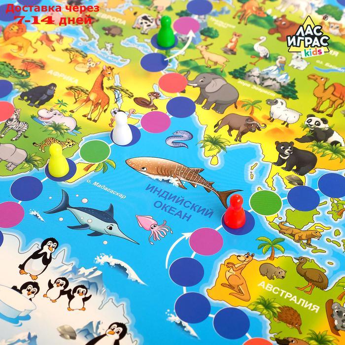 Настольная игра-бродилка "Путешествие вокруг света", набор пластиковых животных, карточки - фото 3 - id-p156258008