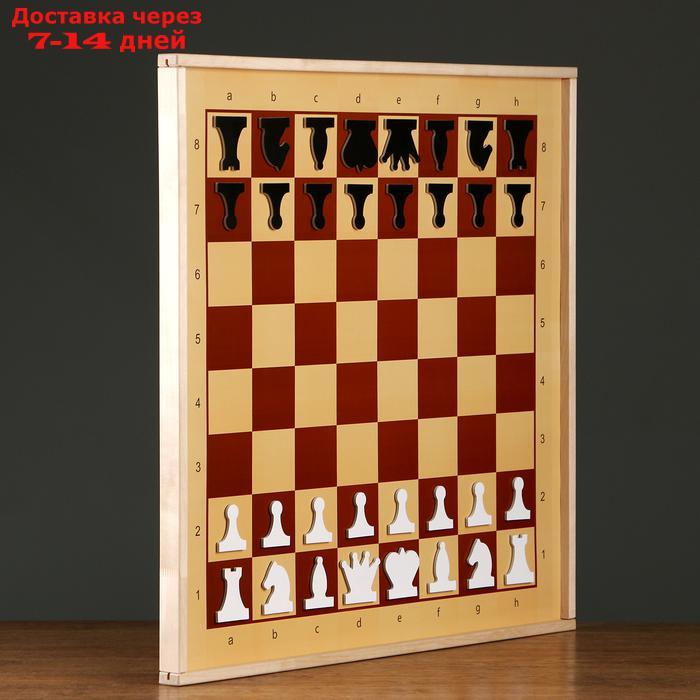 Демонстрационные шахматы магнитные (игровое поле 73х73 см, фигуры полимер, король h=6.3 см) - фото 2 - id-p99884509