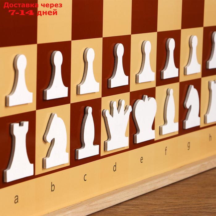 Демонстрационные шахматы магнитные (игровое поле 73х73 см, фигуры полимер, король h=6.3 см) - фото 3 - id-p99884509