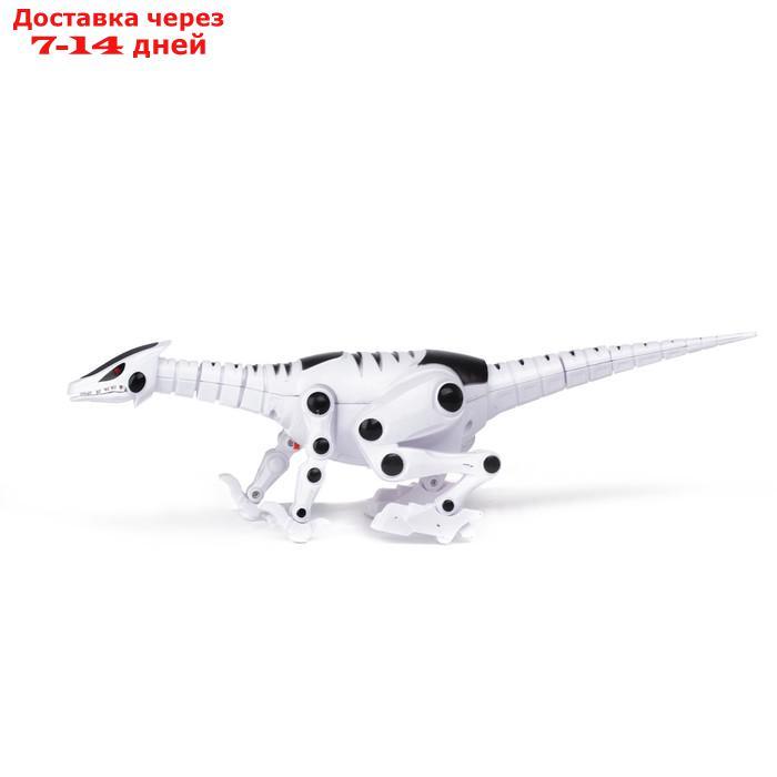 Динозавр-робот "Рекс", световые и звуковые эффекты, работает от батареек - фото 2 - id-p144298625
