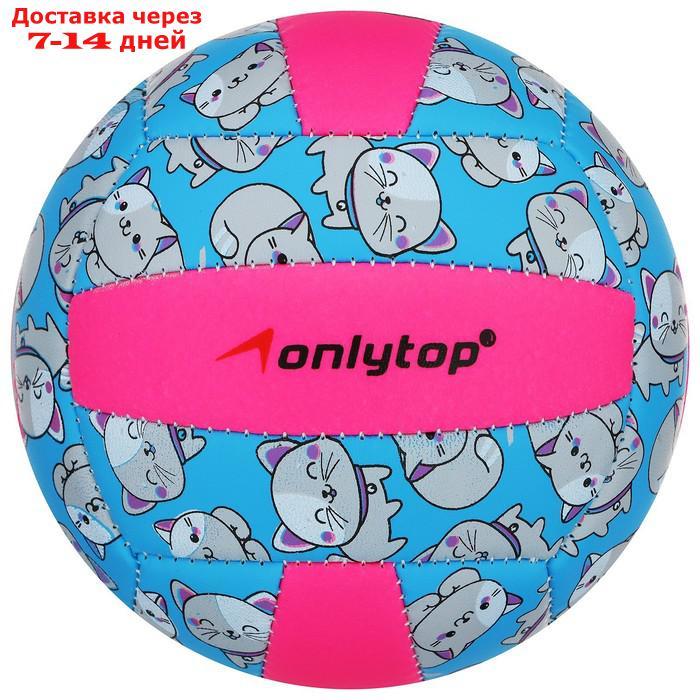 Мяч волейбольный ONLITOP "Кошечка", размер 2, 150 г, 2 подслоя, 18 панелей, PVC, бутиловая камера - фото 1 - id-p184487816