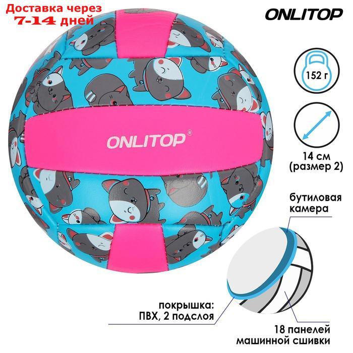 Мяч волейбольный ONLITOP "Кошечка", размер 2, 150 г, 2 подслоя, 18 панелей, PVC, бутиловая камера - фото 2 - id-p184487816