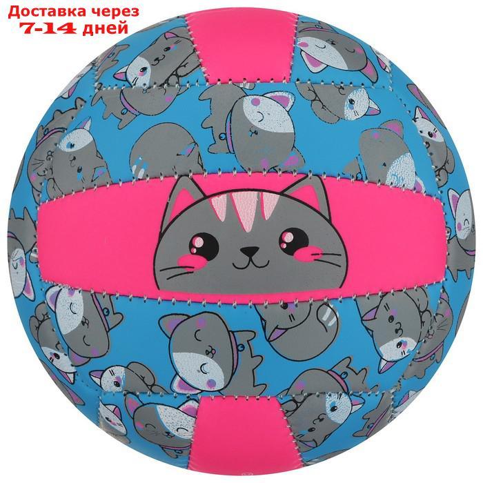 Мяч волейбольный ONLITOP "Кошечка", размер 2, 150 г, 2 подслоя, 18 панелей, PVC, бутиловая камера - фото 4 - id-p184487816