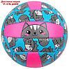 Мяч волейбольный ONLITOP "Кошечка", размер 2, 150 г, 2 подслоя, 18 панелей, PVC, бутиловая камера, фото 5
