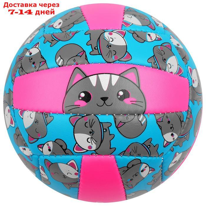 Мяч волейбольный ONLITOP "Кошечка", размер 2, 150 г, 2 подслоя, 18 панелей, PVC, бутиловая камера - фото 5 - id-p184487816