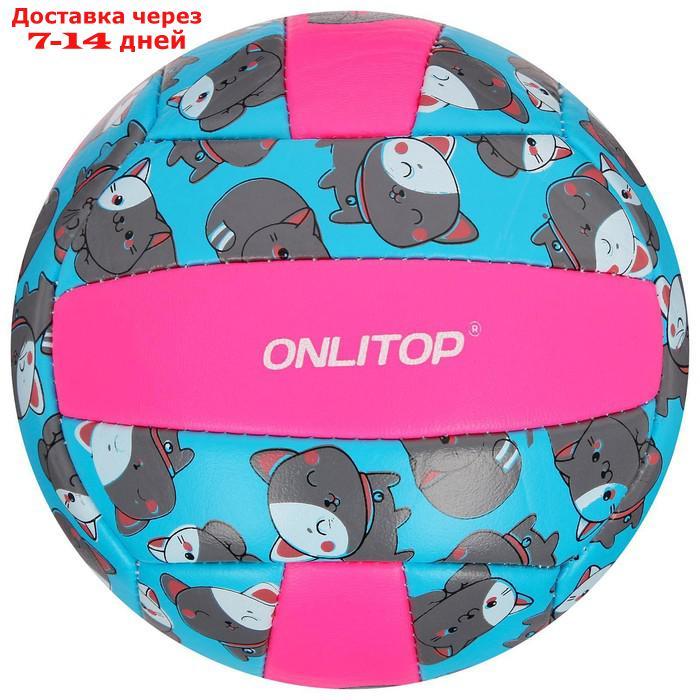 Мяч волейбольный ONLITOP "Кошечка", размер 2, 150 г, 2 подслоя, 18 панелей, PVC, бутиловая камера - фото 6 - id-p184487816