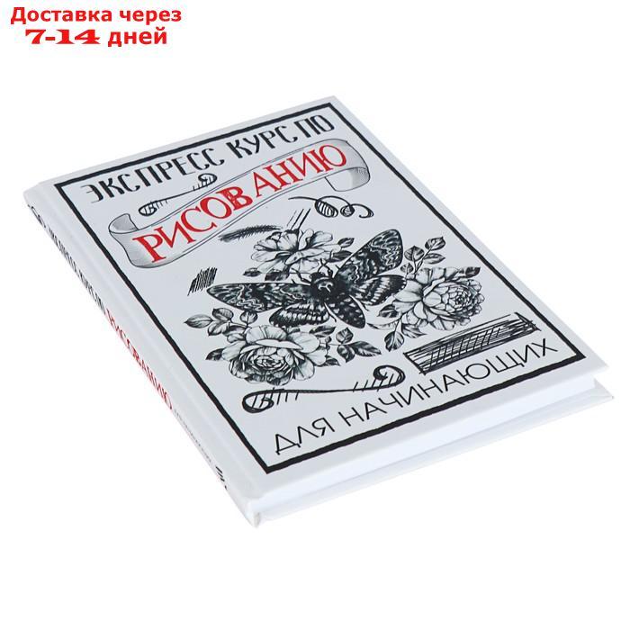 Экспресс курс по рисованию для начинающих. Грей М. - фото 2 - id-p171433318