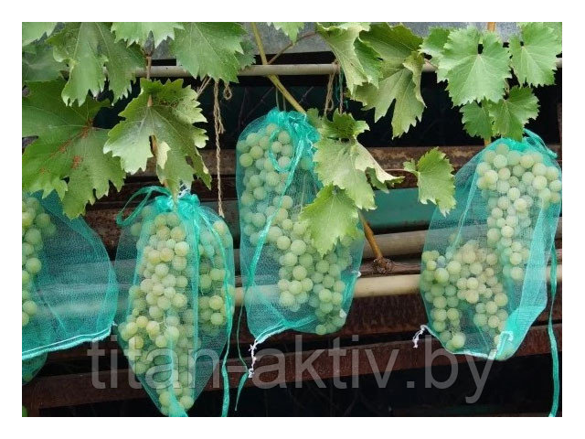 Сетка для защиты гроздей винограда от птиц и ос, 20 шт, 50 см, ИНТЕРЛОК - фото 1 - id-p186620369