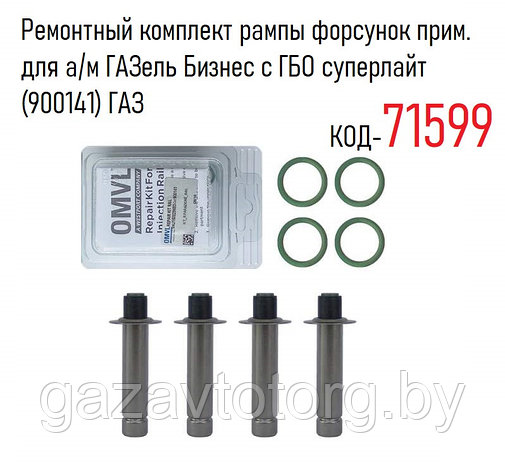 Ремонтный комплект рампы форсунок 3302 Газель Бизнес с ГБО суперлайт ГАЗ, 900141, фото 2