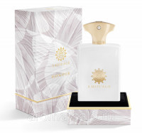 Мужская парфюмерная вода Amouage - Honour Edp 100ml - фото 1 - id-p186684590