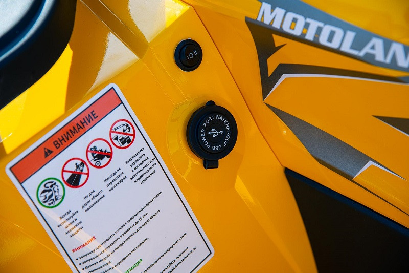 Квадроцикл Motoland 200 WILD TRACK X PRO (2020) Желтый - фото 4 - id-p186691841