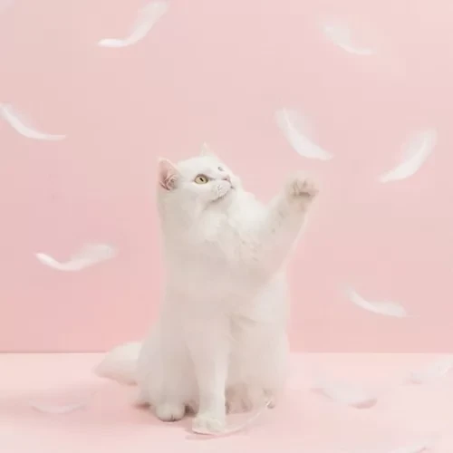 Игрушка-дразнилка с перьями для кошек Xiaomi Furrytail Flamingo Cat Teaser (Белый) - фото 6 - id-p165970355