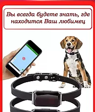 GPS-трекер G12P для собак и кошек с ошейником / с дистанционным Вкл.- Откл., фото 3
