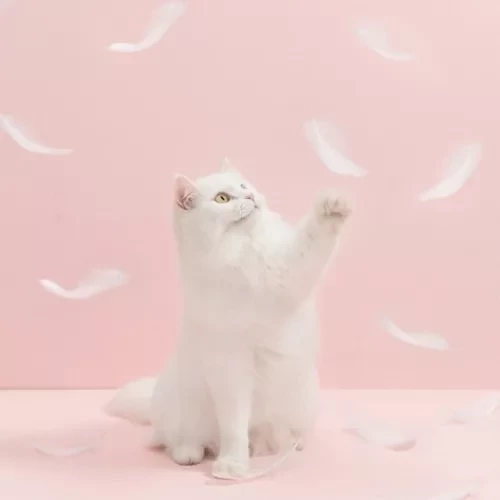 Игрушка-дразнилка с перьями для кошек Xiaomi Furrytail Flamingo Cat Teaser (Белый) - фото 6 - id-p165978108