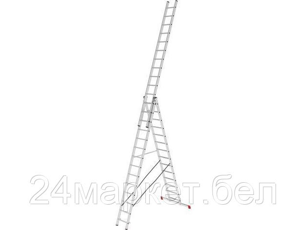 Лестница алюм. 3-х секц. 356/949/376см 3х14 ступ., 21,5кг PRO STARTUL (ST9942-14), фото 2