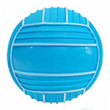 Детский надувной мяч , 22 см, арт.GP-T22, фото 2