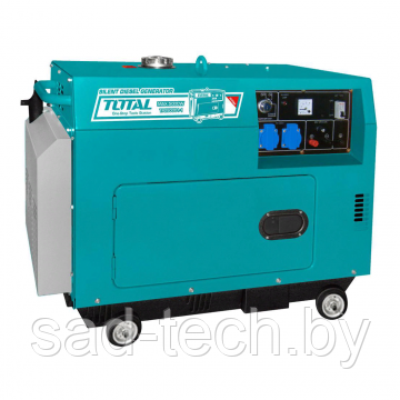 Генератор дизельный TOTAL TP250001