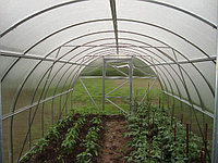 Теплица из поликарбоната "Урожай ПК" 12-и метровая(оцинкованная сталь+поликарбонат с УФ), фото 1