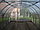 Теплица из поликарбоната "Урожай ПК" 12-и метровая(оцинкованная сталь+поликарбонат с УФ), фото 6