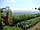 Теплица из поликарбоната "Урожай ПК" 12-и метровая(оцинкованная сталь+поликарбонат с УФ), фото 7