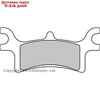 Колодки тормозные для утилитарных квадроциклов Polaris, FDB2176SG