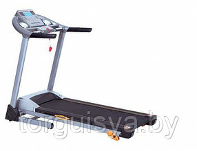 Электр. беговая дорожка Aeromax Fitness SPR-T31