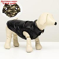 Куртка для собак двухсторонняя с принтом, размер 10 (ДС 25 см, ОГ 34 см, ОШ 24 см), чёрная