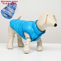 Куртка для собак двухсторонняя с принтом, размер 8 (ДС 23 см, ОГ 30, ОГ 22 см), голубая