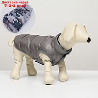 Куртка для собак двухсторонняя с принтом, размер 8 (ДС 23 см, ОГ 30, ОГ 22 см), серая