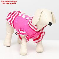 Курточка для собак с воланами, размер 6 (ДС 43,ОШ 44, ОГ 60 см), розовая