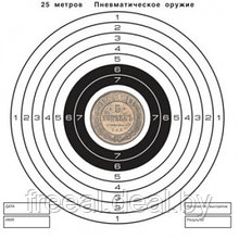 Мишень цветная, рисунок 5 копеек (50 шт./уп.) (140х140)