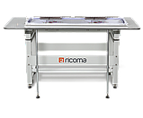 Вышивальная промышленная двухголовочная машина RICOMA MT-2002-8S 560 x 360 мм, фото 9