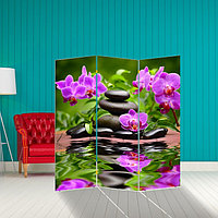 Ширма "Орхидеи. Гармония", 150 х 160 см