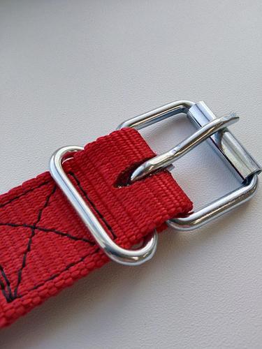 Ошейник для КРС на ременной пряжке, плотная лента (ID#187118562), цена ...