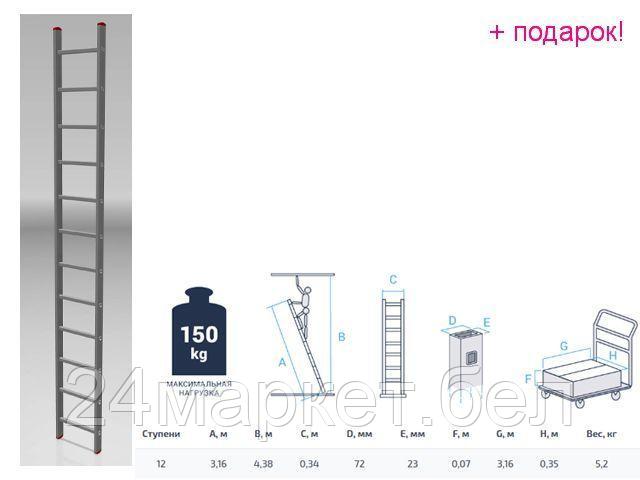 PRO STARTUL Россия Лестница алюм. односекц. 316см 12 ступ., 5,2кг PRO STARTUL (ST9945-12)