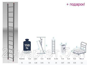 PRO STARTUL Россия Лестница алюм. односекц. 316см 12 ступ., 5,2кг PRO STARTUL (ST9945-12)