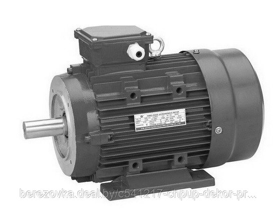 Электродвигатель MY8024 на 380В(для модели BL533) / HZ 08.300.081 - фото 1 - id-p187593060