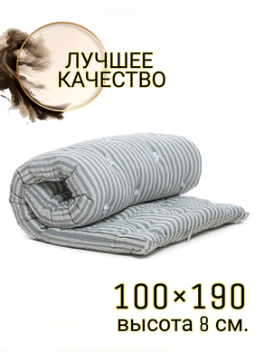 Матрас ватный ЭКОНОМ 100Х190см Тик/Рв, фото 2