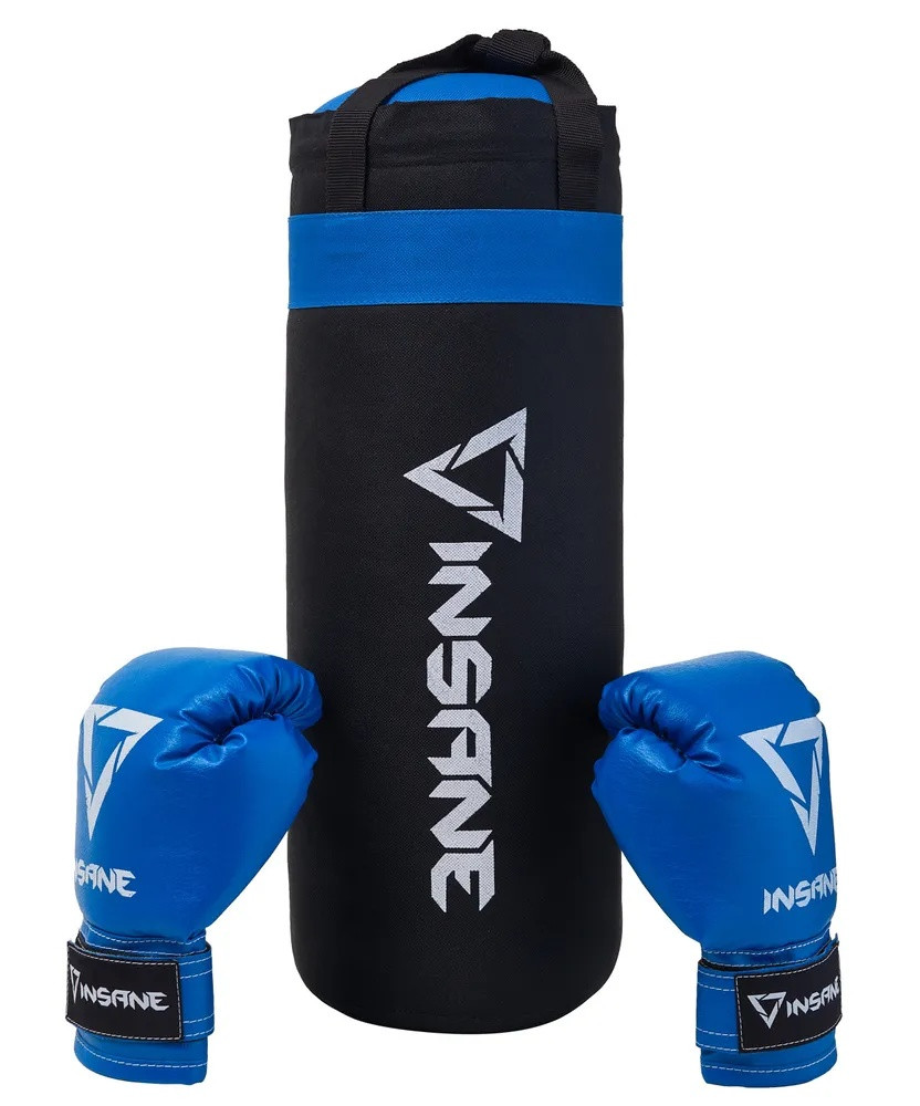 Набор для бокса (груша + перчатки) INSANE FIGHT, синий, 45х20 см, 2,3 кг, 6 oz - фото 1 - id-p187642681