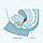 Менструальные чаши Fun Factory Fun Cup Explore Kit Size A 20 мл + Size B 30 мл, фото 8