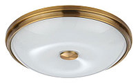 Накладной светильник Odeon Light Pelow 4956/4