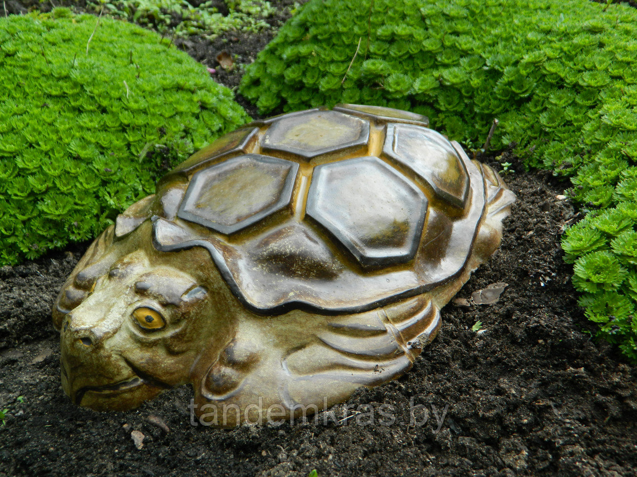 Скульптура "Черепаха" - фото 2 - id-p23727534