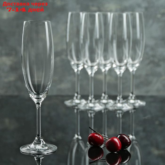 Набор бокалов для шампанского Bohemia Crystal "Лара", 220 мл, 6 шт - фото 2 - id-p187749567