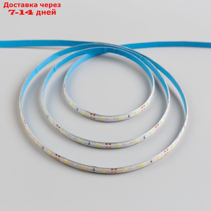 Светодиодная лента Ecola LED strip PRO, 8 мм, 12 В, 4200К, 4.8 Вт, 60 Led/м, IP65, 5 м - фото 2 - id-p187746141