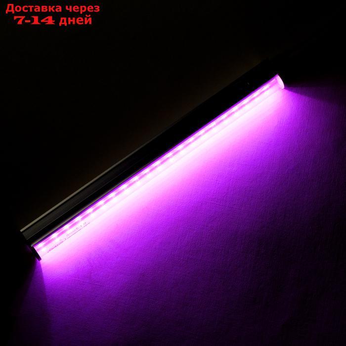 Светодиодный светильник для растений Luazon Lighting 6 Вт, 300 мм, 220В - фото 7 - id-p187746288