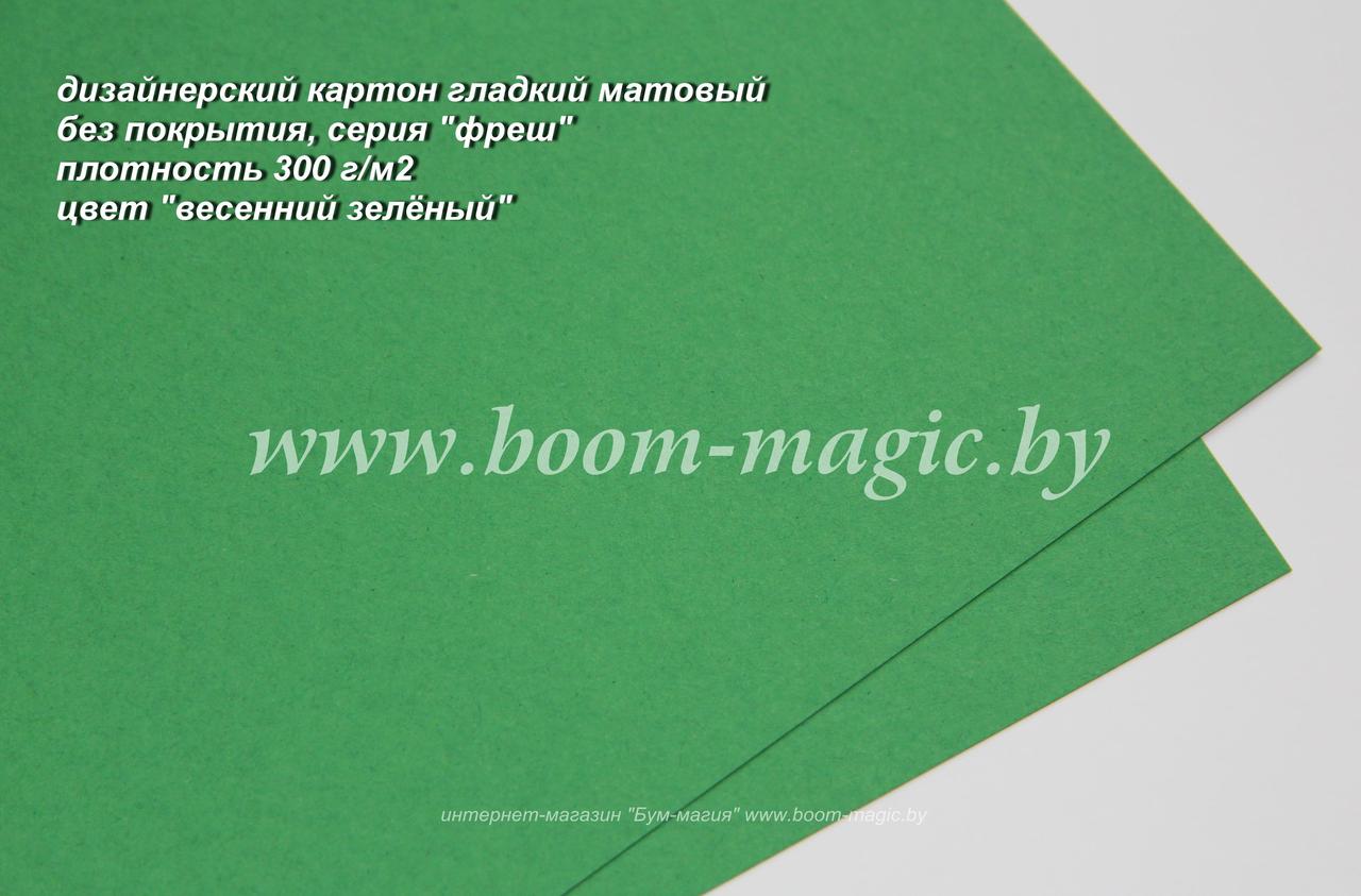 ПОЛОСЫ! 39-010 картон гладкий матовый, серия "фреш", цвет "весенний зелёный", плотность 300 г/м2, 9,5*29,5 см