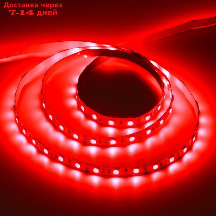 Светодиодная лента Ecola LED strip PRO, 10 мм, 12 В, RGB, 14.4 Вт/м, 60Led/m, IP20, 5 м - фото 4 - id-p187746566