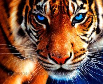 Алмазная мозаика"Тигр"вышивка