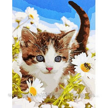 Рисование по номерам "Котенок в ромашках" картина