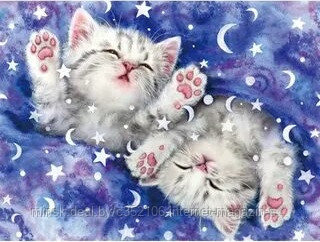 Алмазная мозаика "Милые котята" на подрамнике